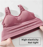 Premium Ribbed Seamless Sports Bra – "Alaxendre Weng"