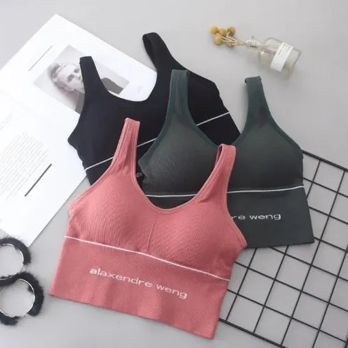 Premium Ribbed Seamless Sports Bra – "Alaxendre Weng" Design (Pack of 3)